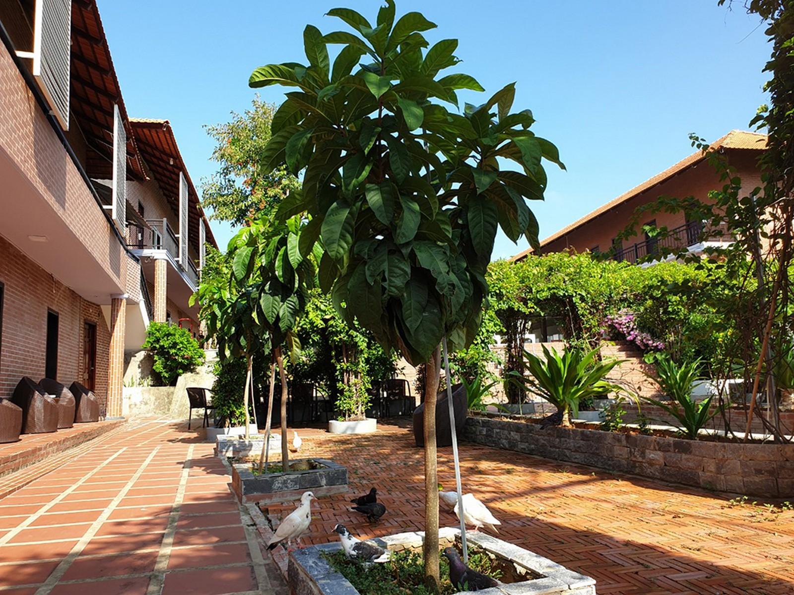 Countryside Phu Quoc Resort Exteriér fotografie